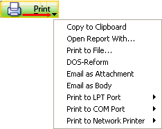 Print Options List